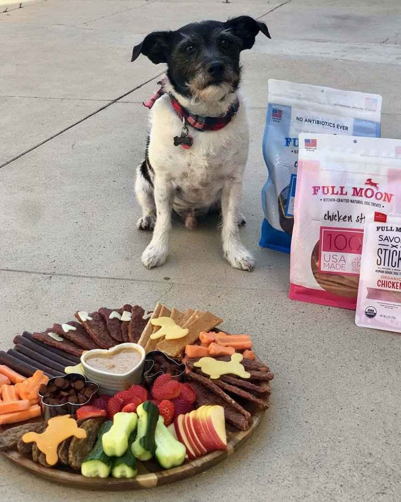 national dog day barkcuterie