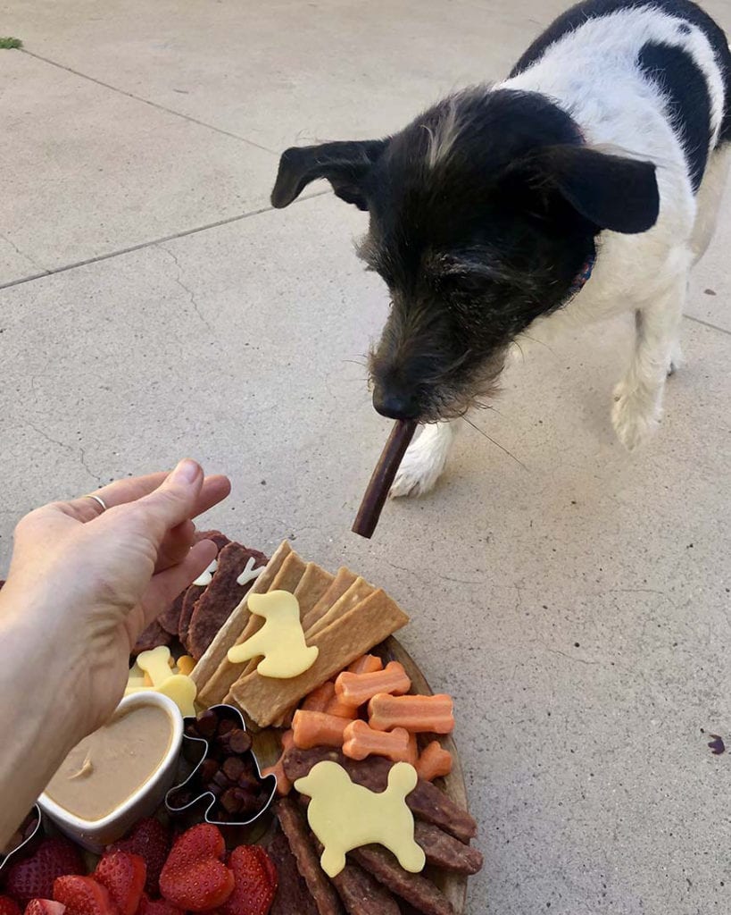 national pet day barkcuterie barcuterie