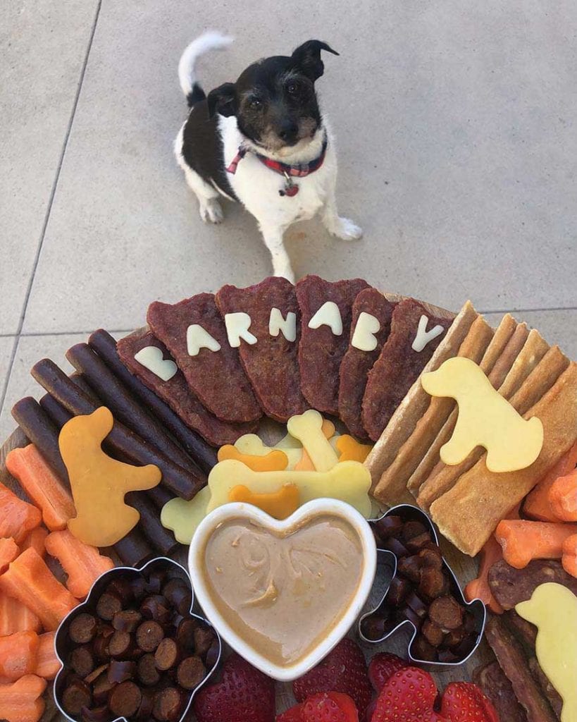 what foods are safe for dogs to eat