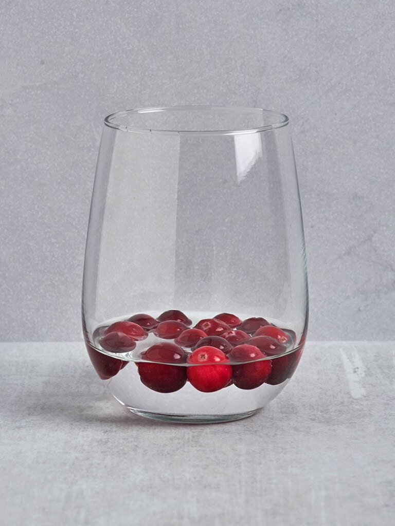 snow globe cocktail glass