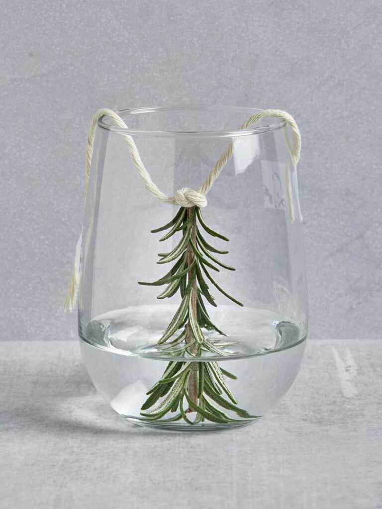 christmas snow globe cocktail